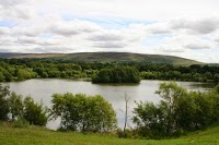 Wyreside Lakes Fishery 1085618 Image 0